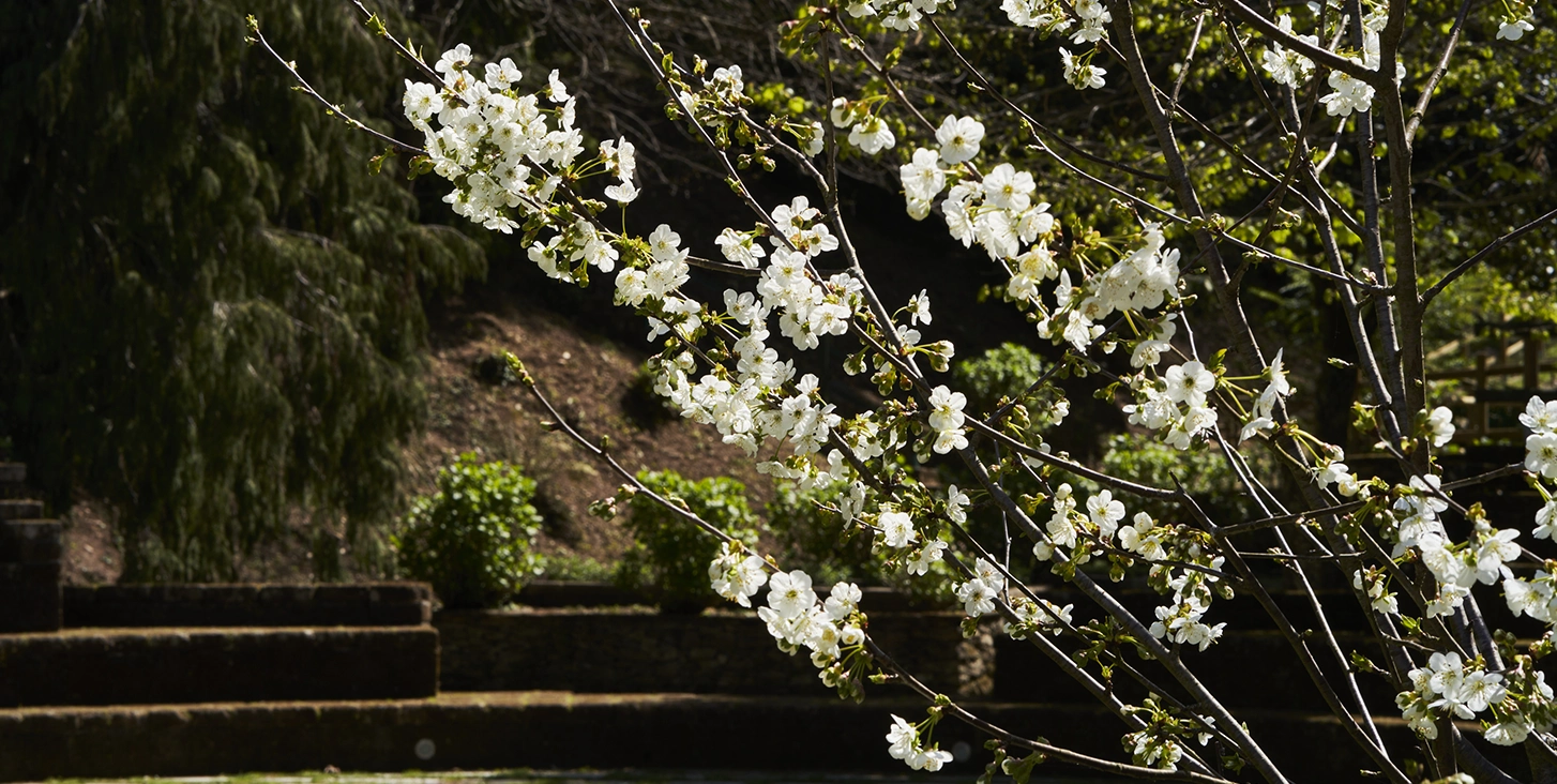 parco-san-carlo-acqua-naturale