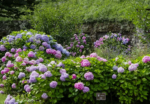 parco-fiori